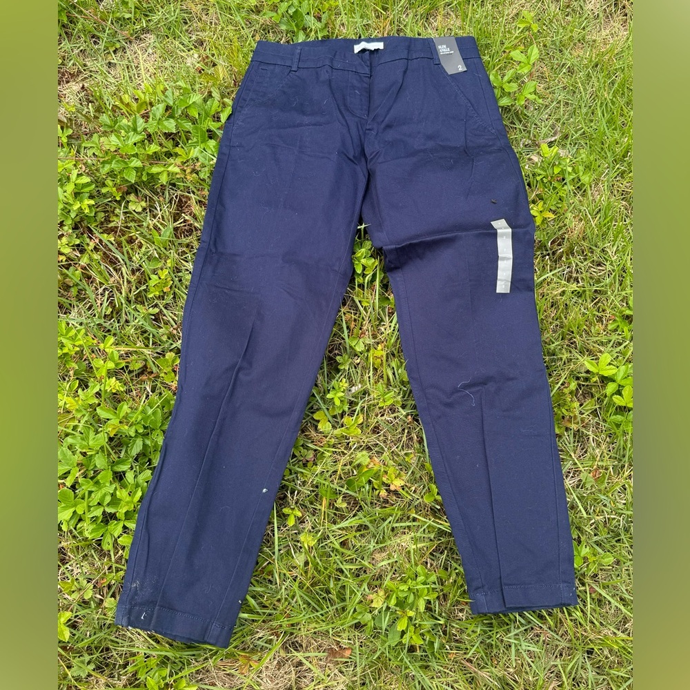 New York & Company pants